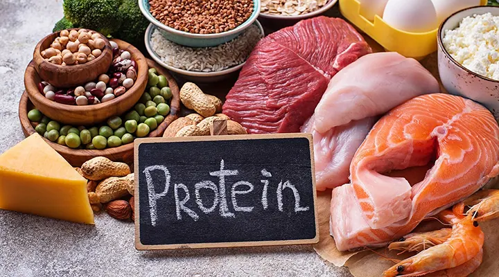 تصویر نقش پروتئین در بدن; چرا پروتئین برای بدنسازان مفید است | هورخ